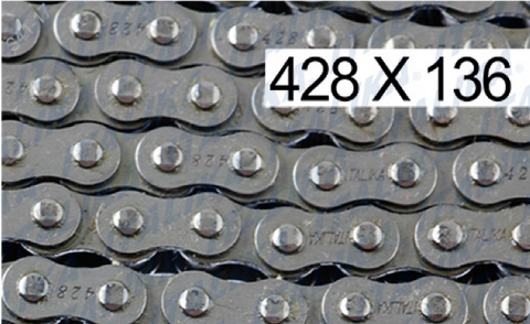 F02030365